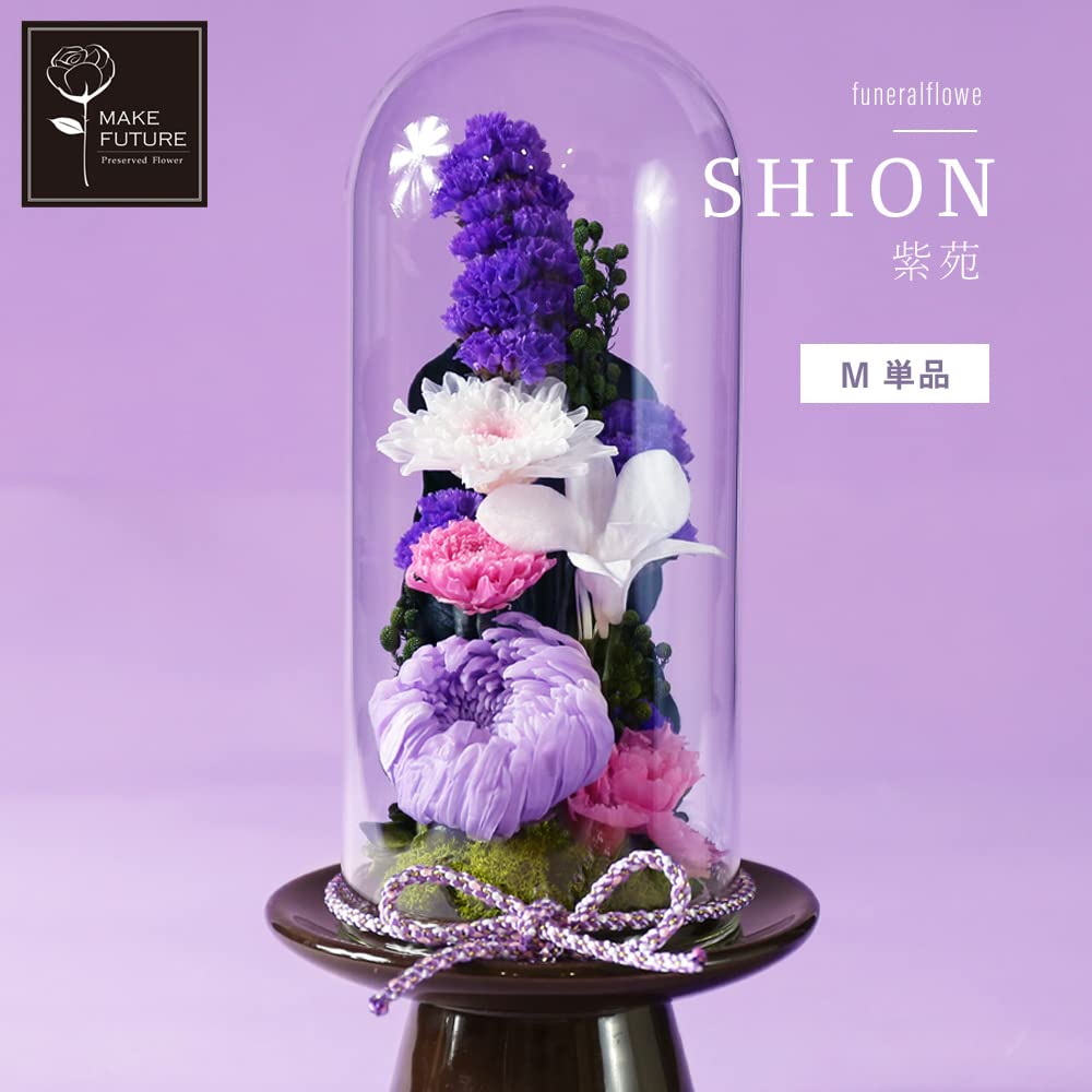 Amazon | Makefuture 紫苑 M プリザーブドフラワー 仏花 ガラスドーム